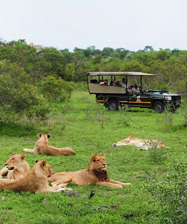 itinerary-sun-city image-